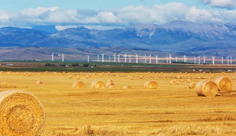 廿四节气 | 秋分：阴阳双补，澄怀观物映乾坤