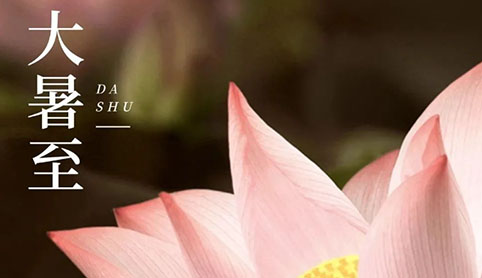 廿四节气 | 大暑：大暑炎炎夏日长，调心养阳自清凉