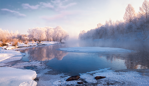 廿四节气 | 立冬：温阳补肾，掀动方寸藏天地