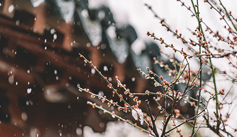 廿四节气 | 小雪：天地闭藏阴气盛，温养阳气正当时