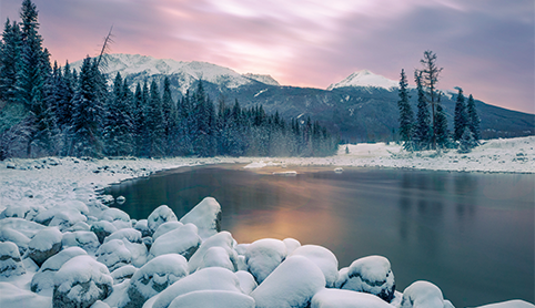 廿四节气 | 冬至一阳生，培元固本正当时！