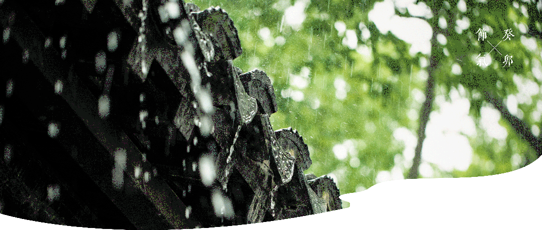 廿四节气 | 谷雨：谷稷随播喜满仓，雨行希望种辉煌