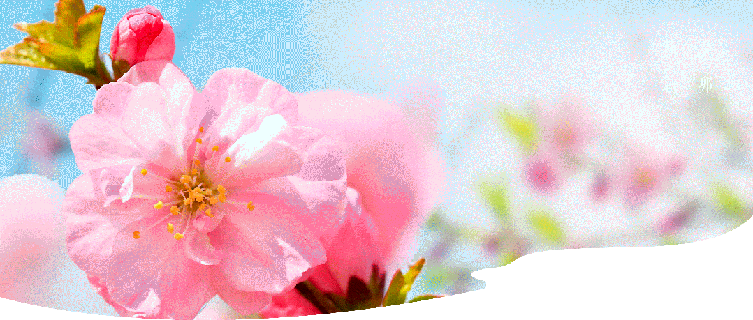 廿四节气 | 春分：春到正中农耕忙，紫燕衔泥筑吉祥