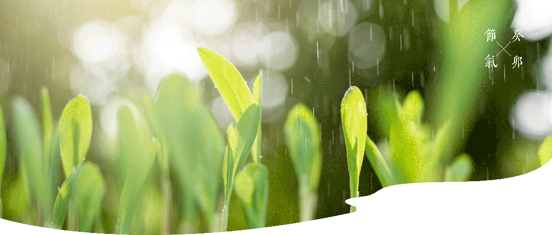廿四节气 | 雨水：天雨春水雁归早，东风唤醒万物荣