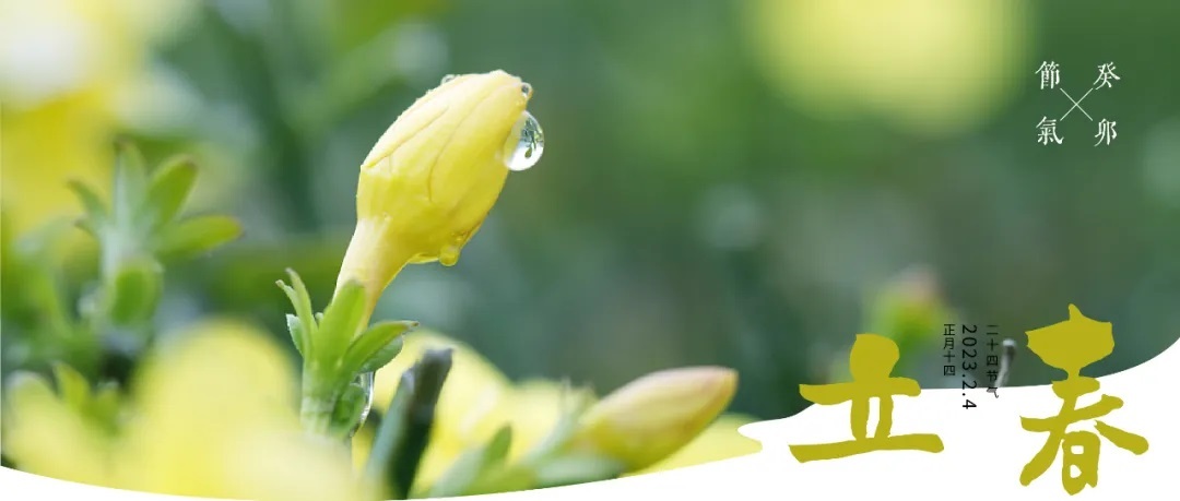 廿四节气 | 春山蛰鸣千红聆，碧波呈目新立春