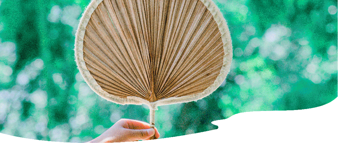 廿四节气 | 夏至：顺祝夏安，中医养生智慧一夏清新