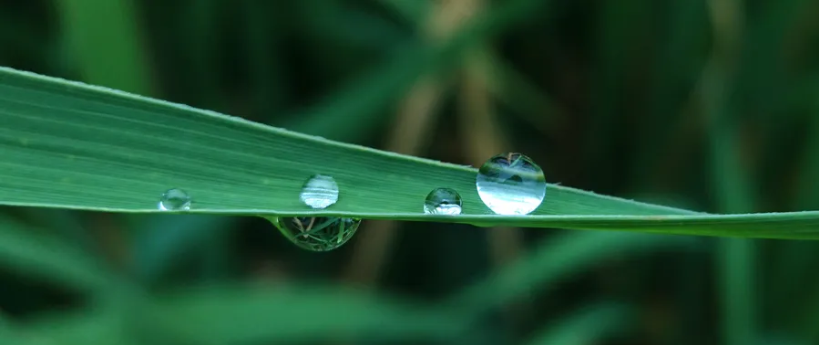 廿四节气 | 深秋寒露至，润燥暖身正当时！