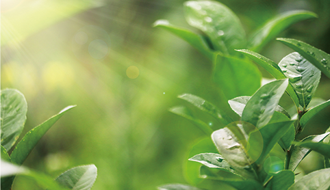 廿四节气 | 立春：养护阳气，化万物之生！