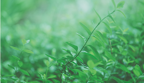 廿四节气 | 惊蛰至，疏肝健脾正当时！