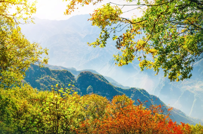 廿四节气 | 承“伏”祛湿生阳，立秋养生正当时！